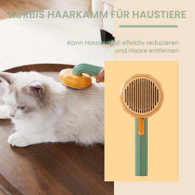 Kürbis Kammbürste für Haustiere