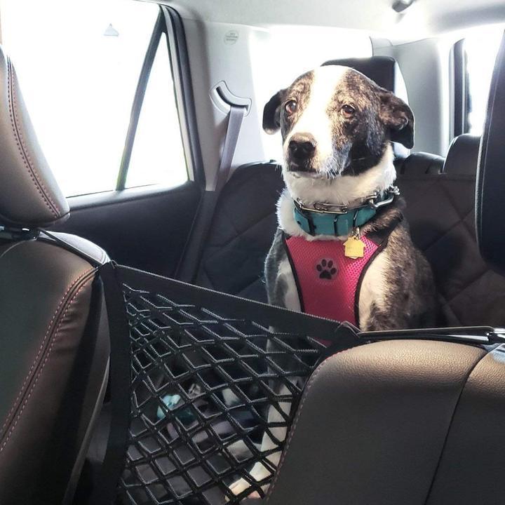 🚗Autositz Aufbewahrungsnetz Haken Organizer