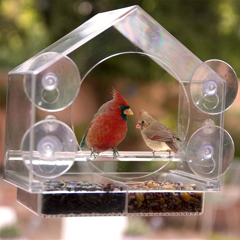 Fenster Vogelhaus Futterspender