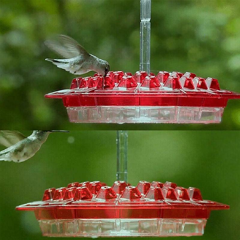 Hängende rote sechseckige Kolibri-Fütterungsanlage