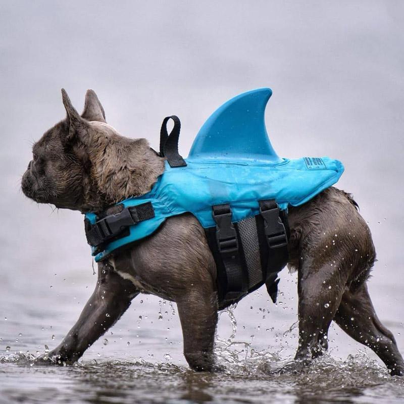 Hai Haustier Schwimmweste